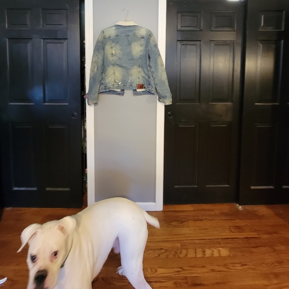 Polo Vintage Jean Jacket Large - Picture 4 of 6